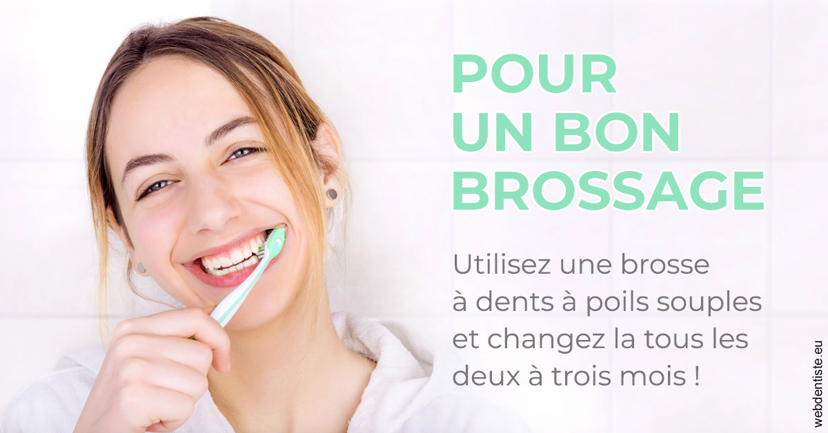 https://dr-treil-bruno.chirurgiens-dentistes.fr/Pour un bon brossage 2