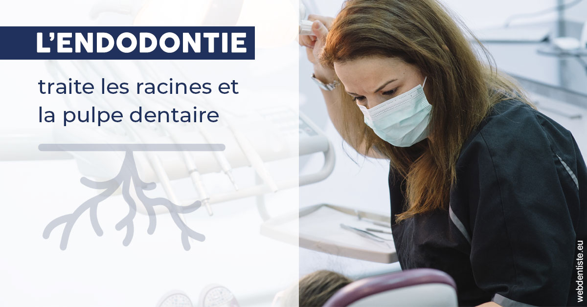 https://dr-treil-bruno.chirurgiens-dentistes.fr/L'endodontie 1