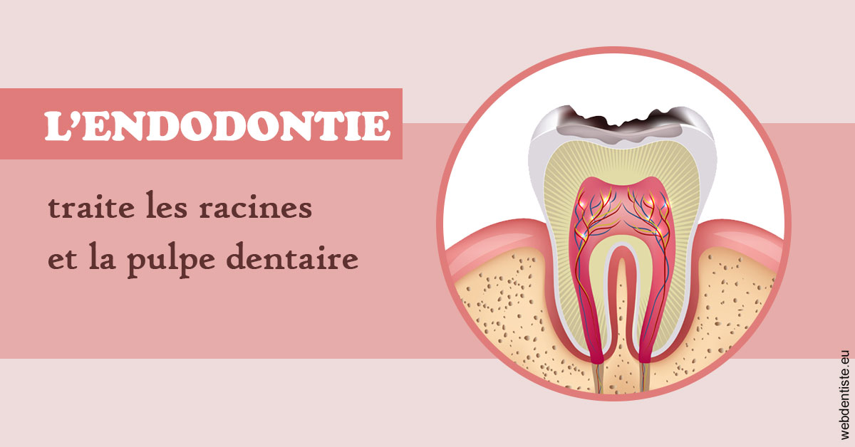 https://dr-treil-bruno.chirurgiens-dentistes.fr/L'endodontie 2