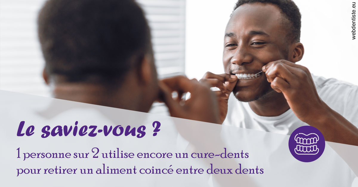 https://dr-treil-bruno.chirurgiens-dentistes.fr/Cure-dents 2
