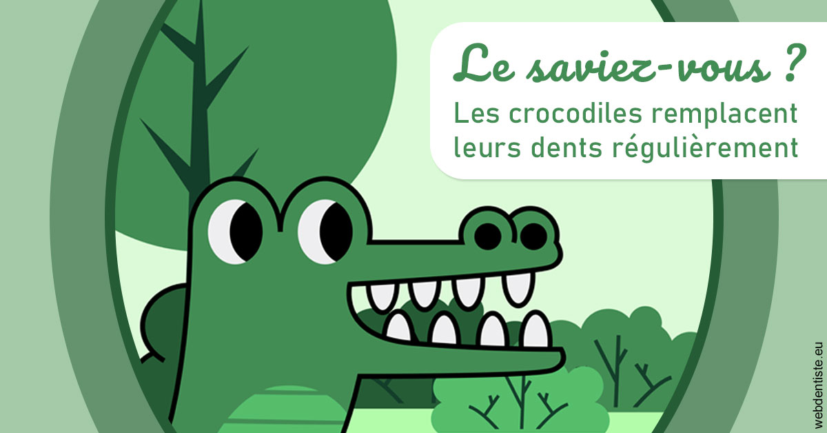 https://dr-treil-bruno.chirurgiens-dentistes.fr/Crocodiles 2