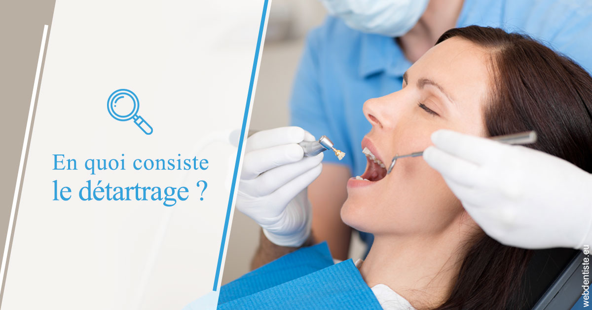 https://dr-treil-bruno.chirurgiens-dentistes.fr/En quoi consiste le détartrage